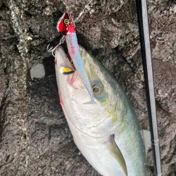 フリフリシャッドはもはやエサ