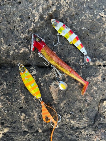 根魚にジグをオススメする理由