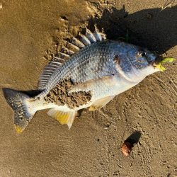 長靴とスピニングとトップ