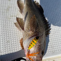 【新製品】ジャックアイフリフリバイブのポテンシャル