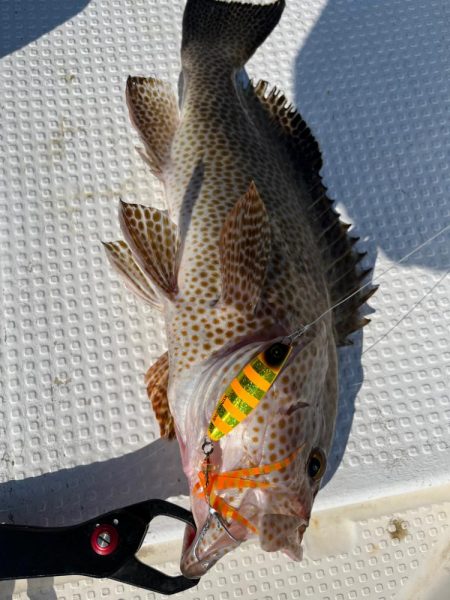 【新製品】ジャックアイフリフリバイブのポテンシャル