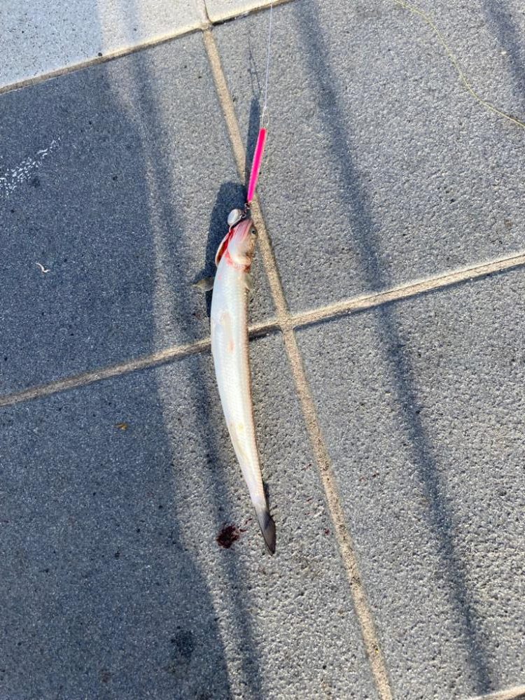 早起きは三文の徳