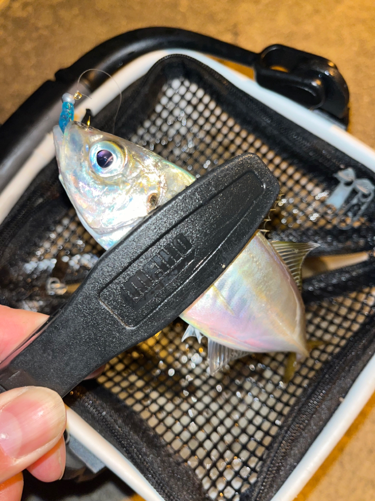 やっぱり時間帯