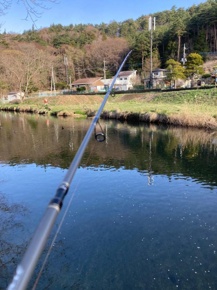 渓流　桂川　忍野