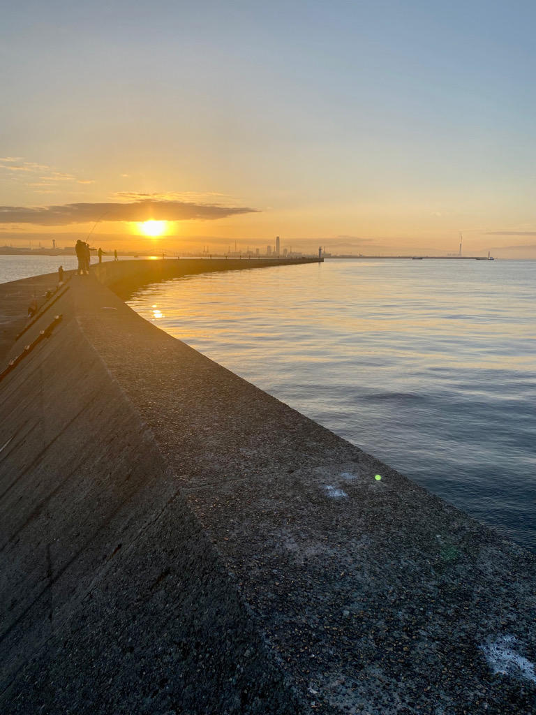 ショアジギでメジロ
