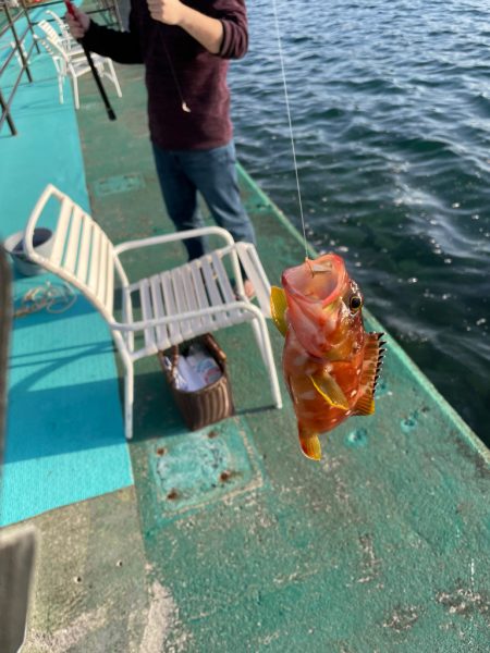 ホテル浦島！果たして？