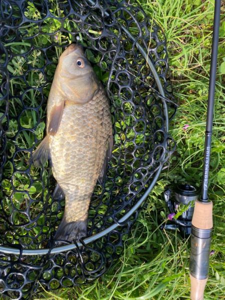 近所でフナ釣り