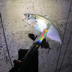 アジトルネード