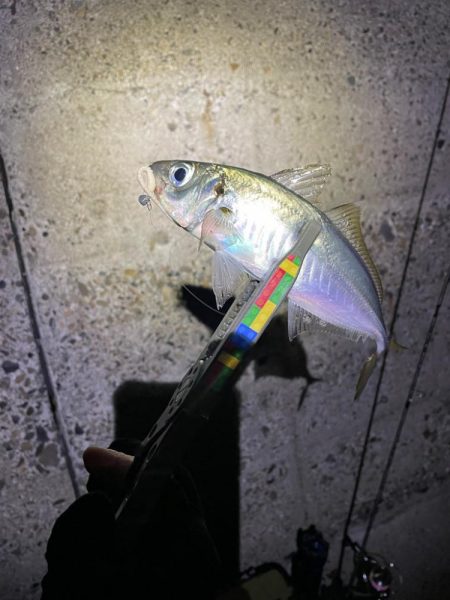 アジトルネード