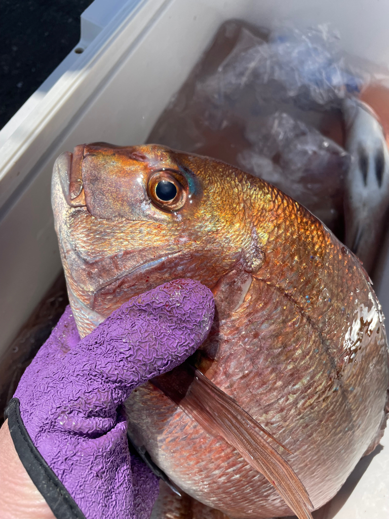 釣堀水宝さんにて