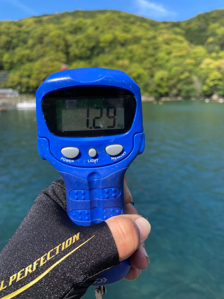 激渋のデイエギングでキロアップ