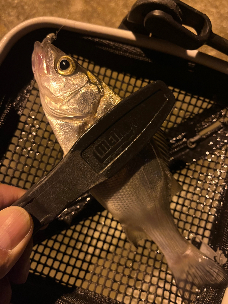 心のシーズンオフ