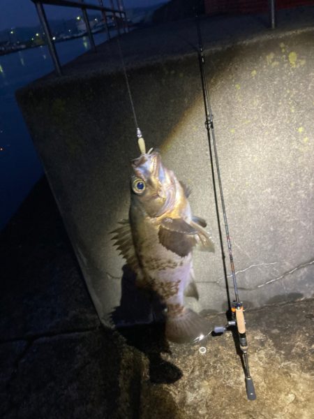 富山湾遠征　メバルを求めて