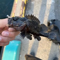 春のタケノコ祭り継続中？