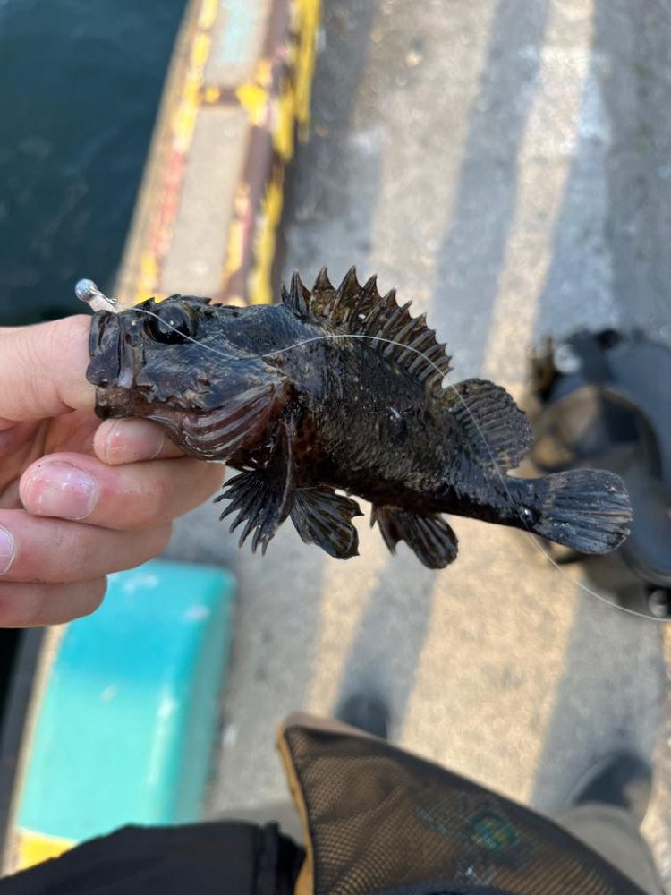 春のタケノコ祭り継続中?