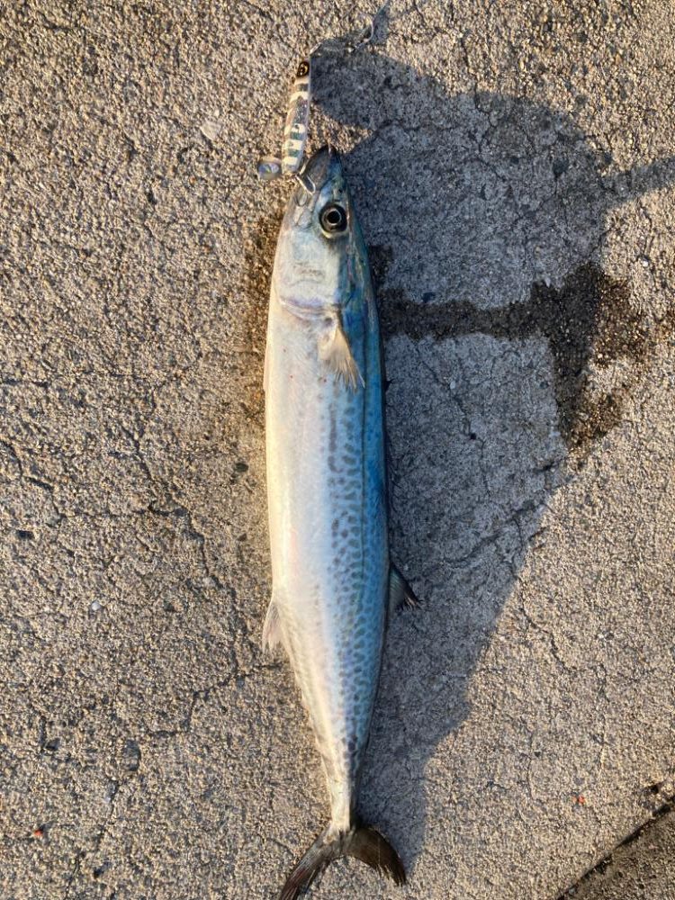 2023ライトゲーム第10戦