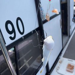 鯛/タイラバ＆ショウサイフグ/ネオカットウ…