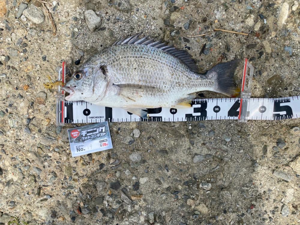 淀川チニング キビレキビレキビレ