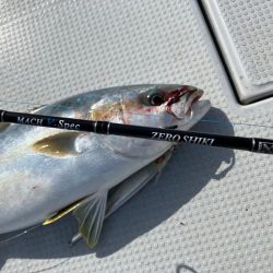 ヒラマサキャスティング、ジギング