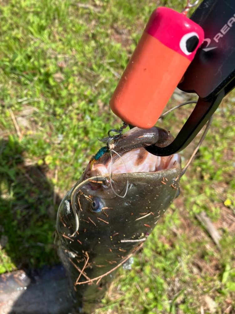 デイナマズゲーム 水面爆発