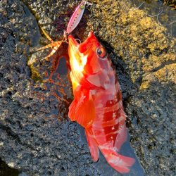 厳しいときにこそジャックアイクネクネ