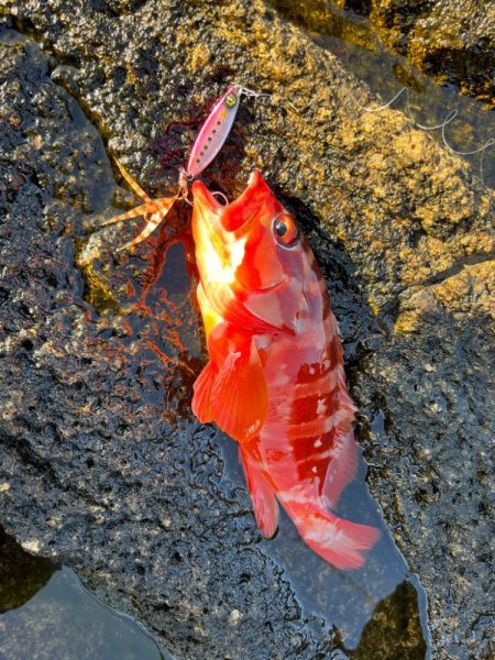 厳しいときにこそジャックアイクネクネ