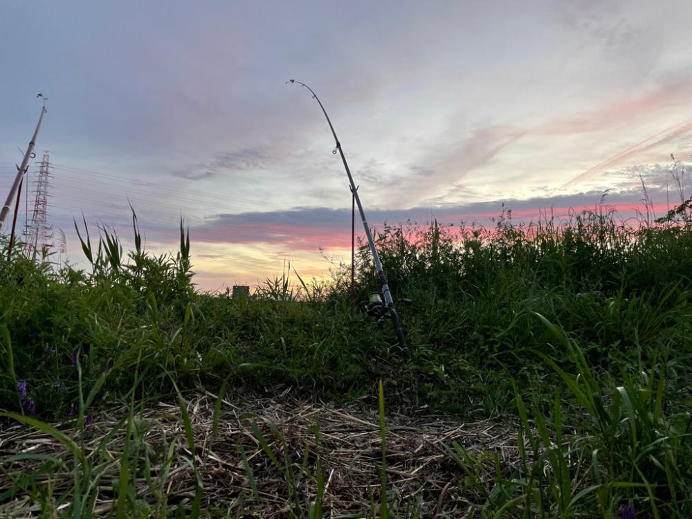 今シーズン初のウナギ釣り