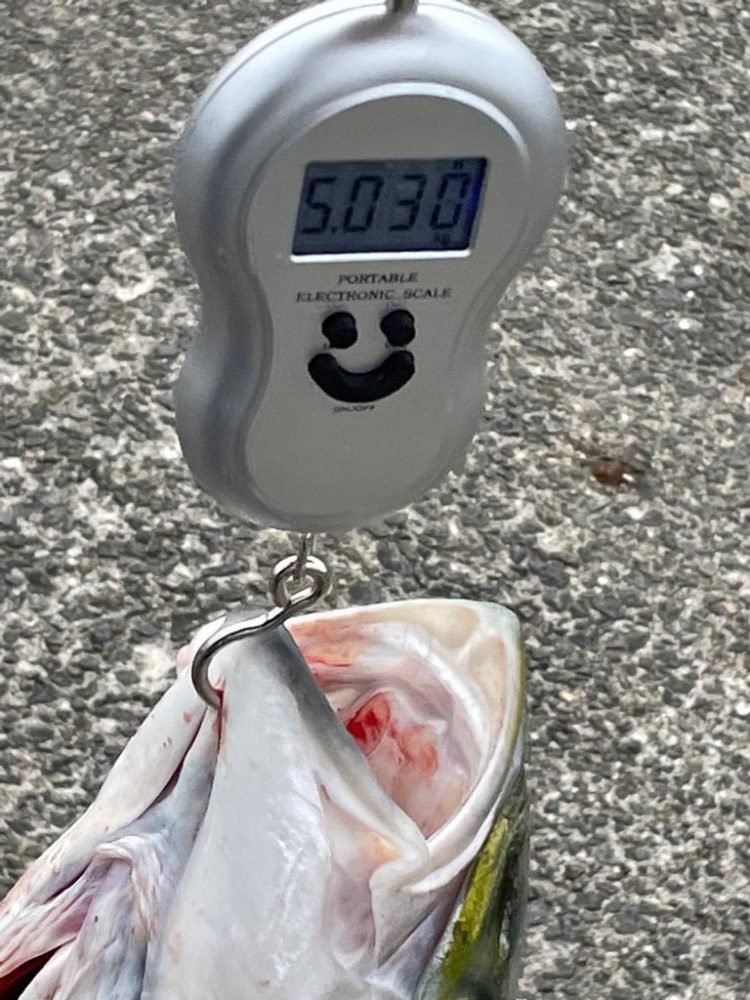 23 ショアジギ　初釣果ブリ‼️