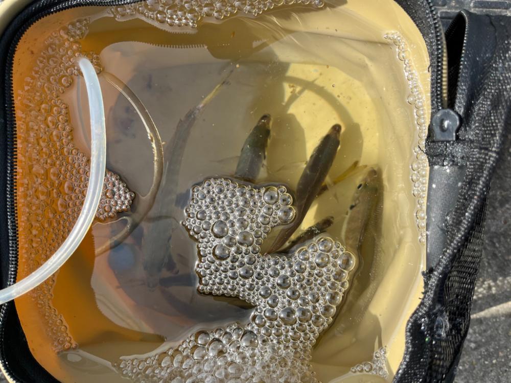飲ませするぞ！