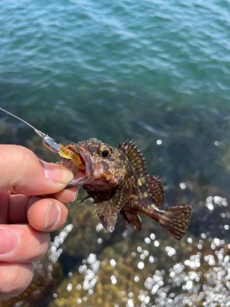 DAYライトゲーム