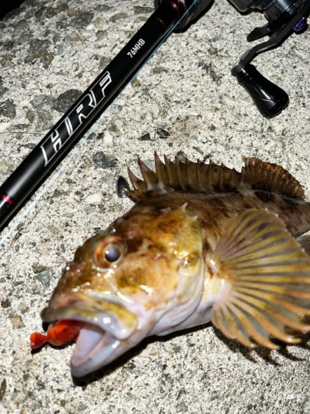 ロックフィッシュ