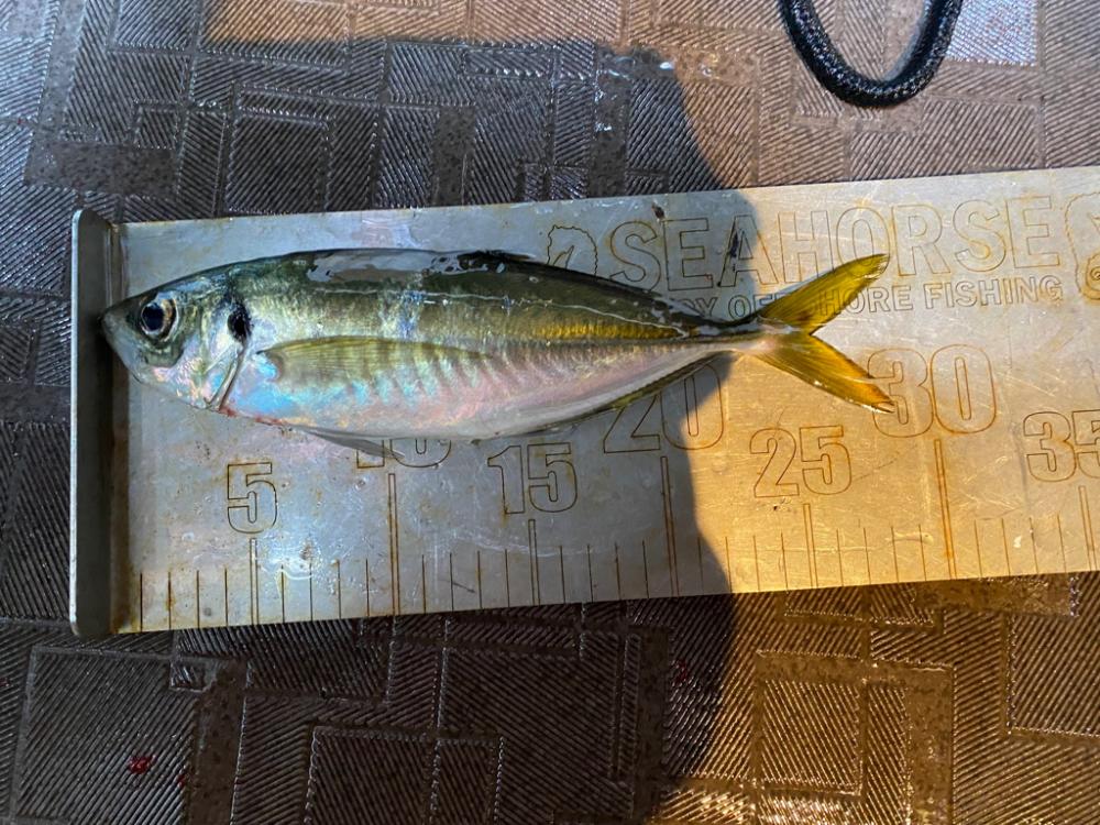 バチコンでギガアジ