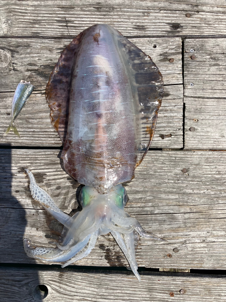 寄せてくるのが重っ!