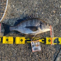 DAY2 南港のつり