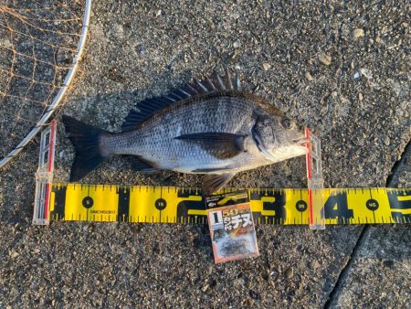 DAY2 南港のつり