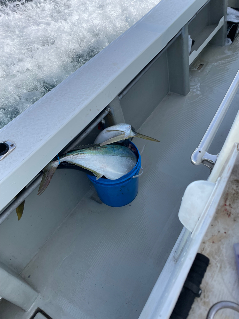 丹後沖のジギング