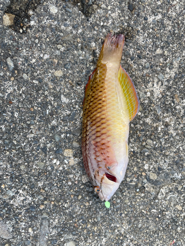 仕事終わりのライトゲーム