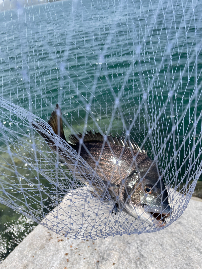 サンライン ファンカップin徳山