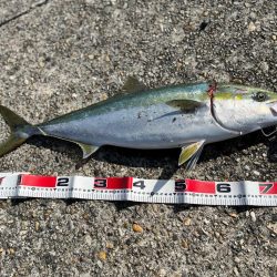 今季初ショアジギング