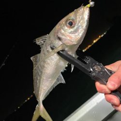 ボートアジング🌊🛥