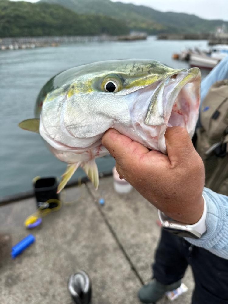 やっと今年初！