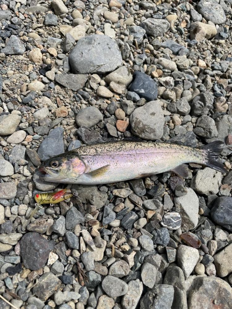 尺代あまご・マス釣り場へ