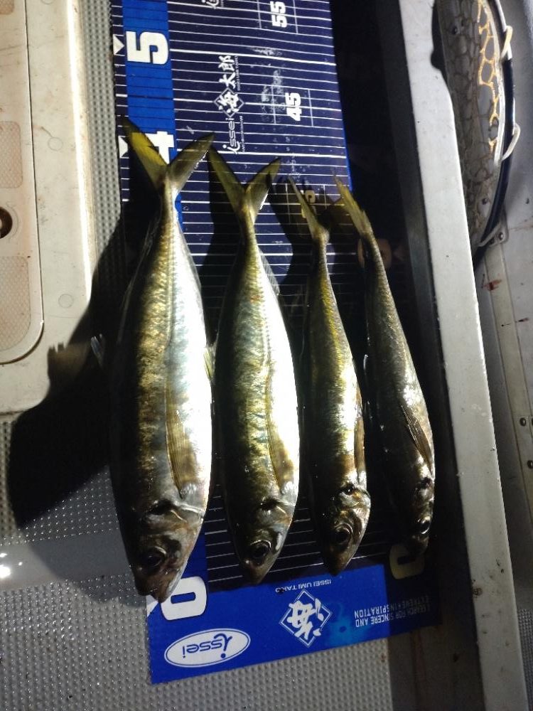 初のボートアジングでギガアジ！！