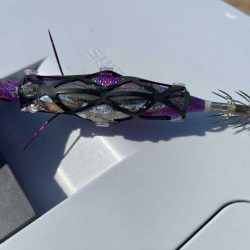 大雨の後はコウイカ反応無し