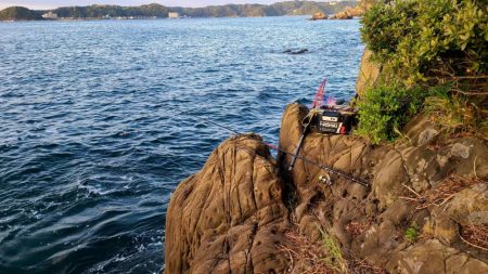 和歌山県勝浦でグレ釣りトーナメント予選