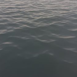 反応悪くなってきました。