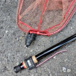 苅田南港デイシーバス