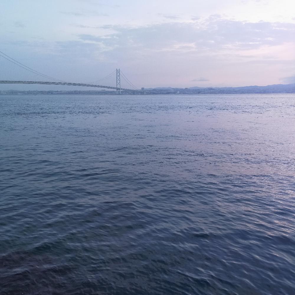 岩屋一文字で通し釣り