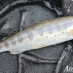 雨後はやっぱり高活性!