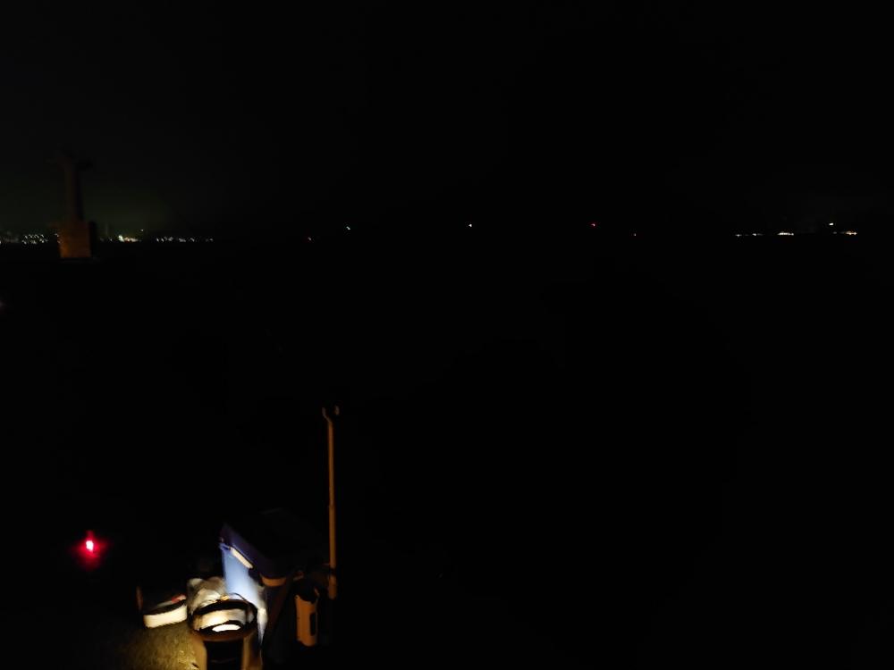 メバルウキ釣り🎣